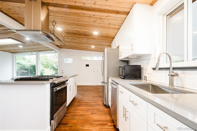 7695 Quitman St, Westminster, CO 80030 - kitchen with a sink, stainless steel appliances, island range hood, wood ceiling, and wood finished floors