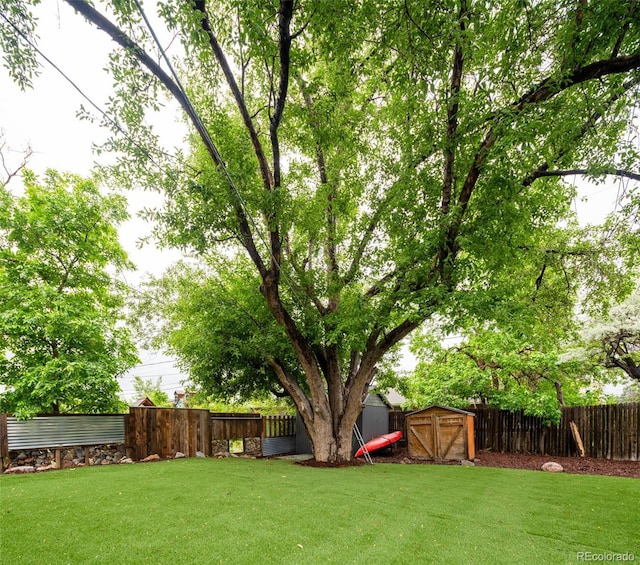 7695 Quitman St, Westminster, CO 80030 - view of yard