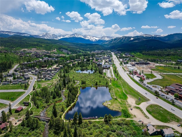 65 Discovery Ln, Fraser, CO 80442 - photo 42
