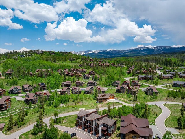 65 Discovery Ln, Fraser, CO 80442 - photo 46