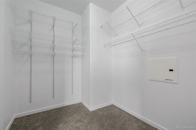 13456 Via Varra Unit 401, Broomfield, CO 80020 - walk in closet with dark colored carpet and electric panel