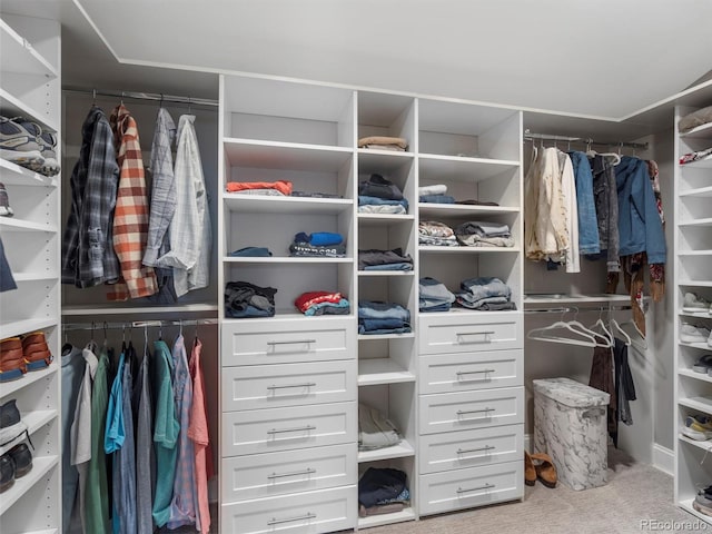 spacious closet with light carpet