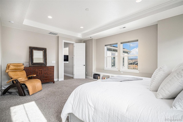 bedroom featuring carpet floors and a tray ceiling