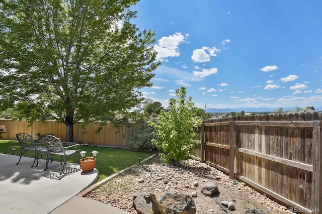 13787 Josephine Ct, Thornton, CO 80602 - fenced backyard featuring a patio area