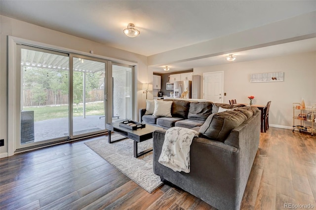 living room with hardwood / wood-style floors