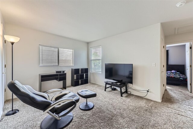 11120 Josephine Way, Northglenn, CO 80233 - photo 26