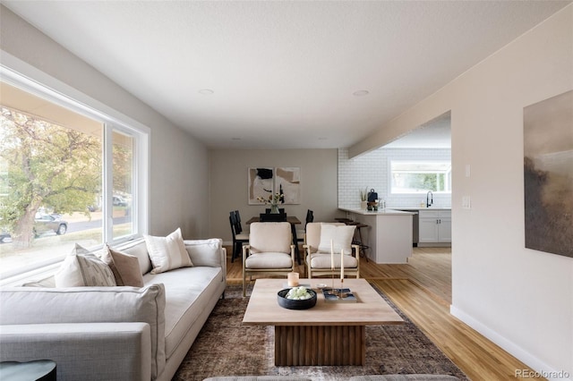 living room with light hardwood / wood-style floors and sink