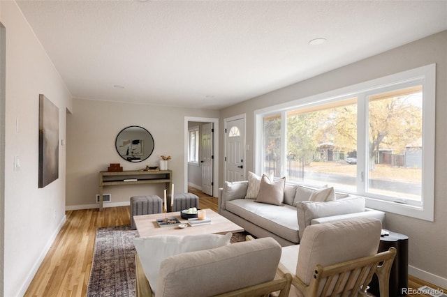 living room featuring light hardwood / wood-style floors