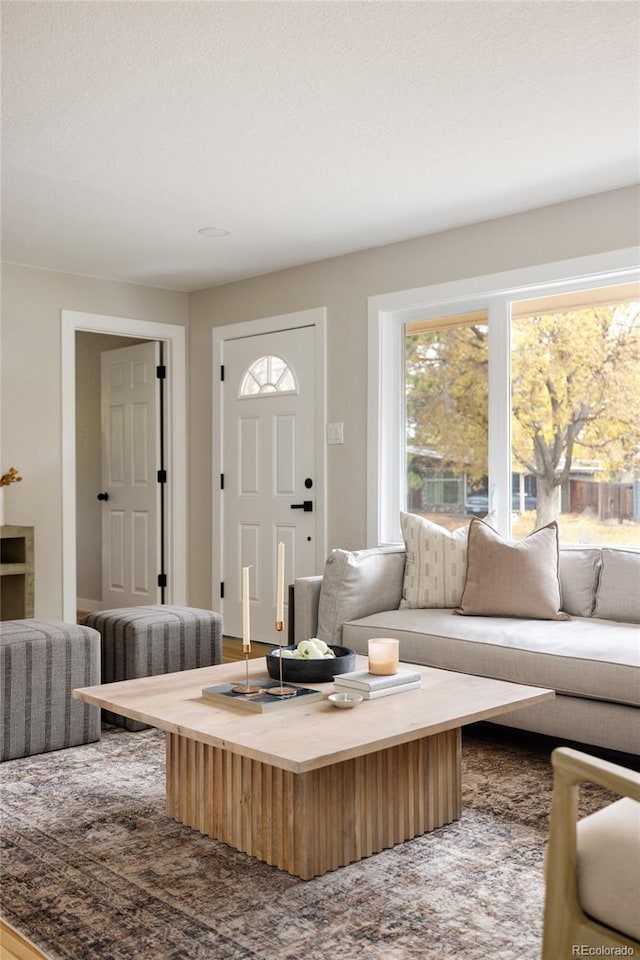 living room featuring a textured ceiling