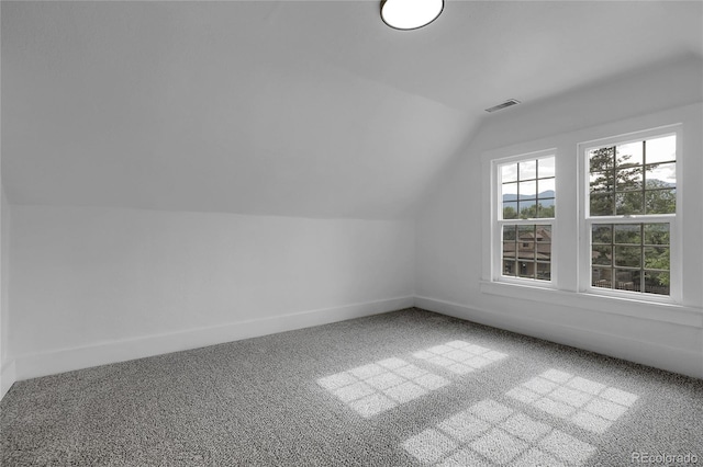 2803 N Cascade Ave, Colorado Springs, CO 80907 - bonus room featuring lofted ceiling and carpet floors