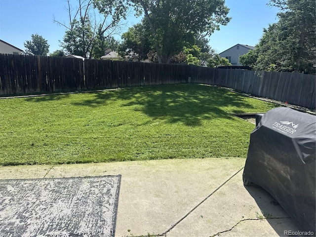 12528 Ash St, Thornton, CO 80241 - view of yard with a patio area