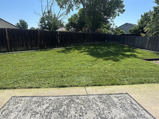 12528 Ash St, Thornton, CO 80241 - view of yard