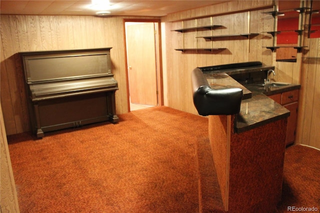 interior space with carpet flooring, wood walls, and sink