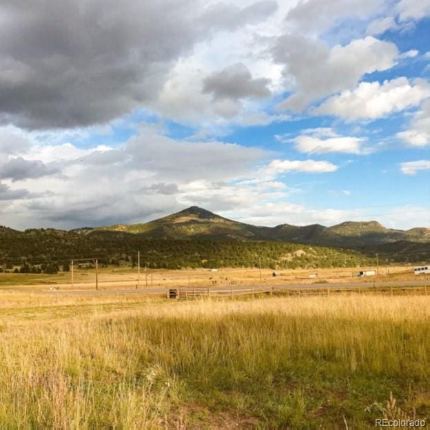 5915 County Rd 11, Florissant, CO 80816