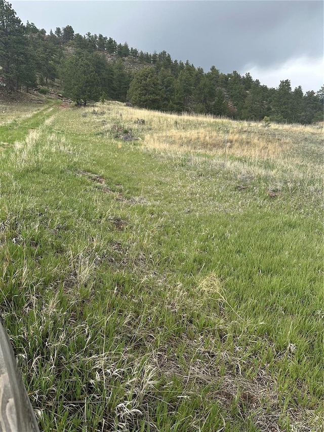 5915 County Rd 11, Florissant, CO 80816