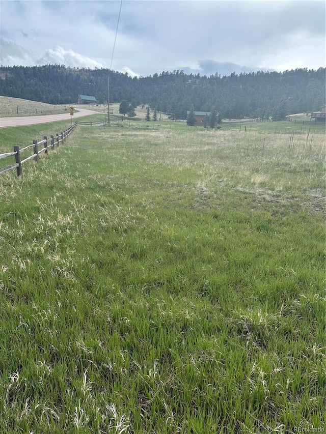 5915 County Rd 11, Florissant, CO 80816