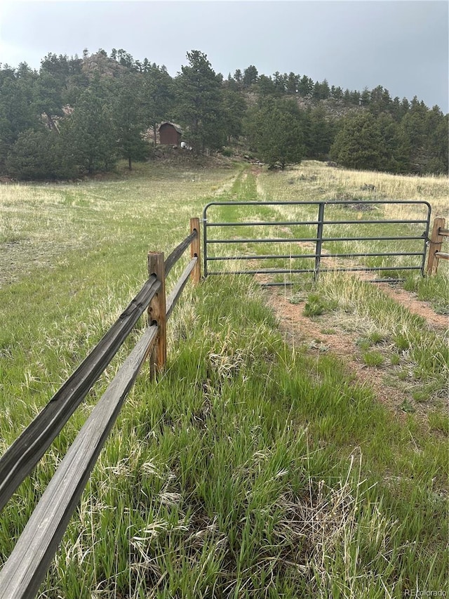 5915 County Rd 11, Florissant, CO 80816