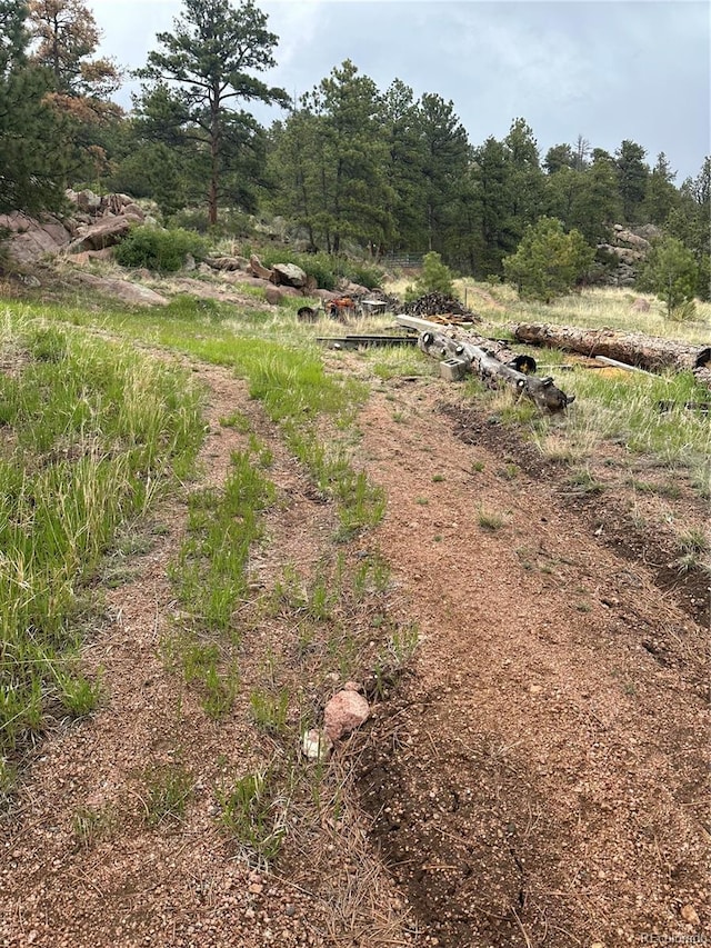 5915 County Rd 11, Florissant, CO 80816