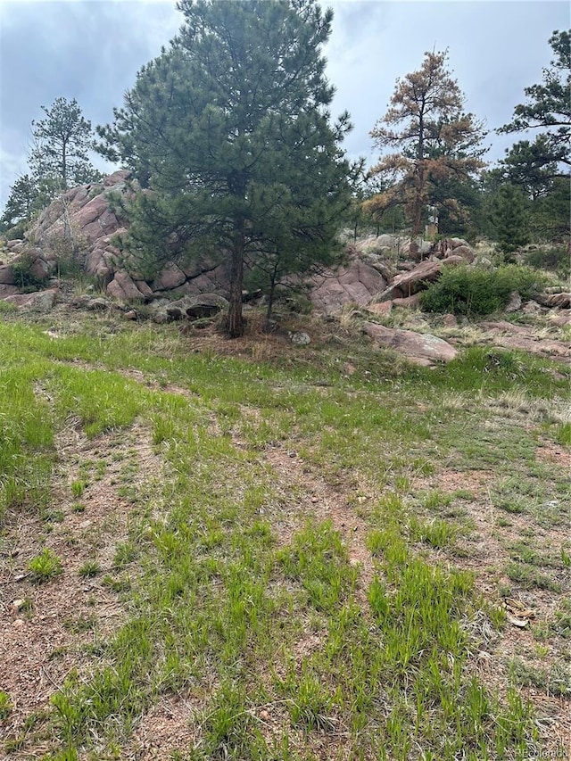 5915 County Rd 11, Florissant, CO 80816