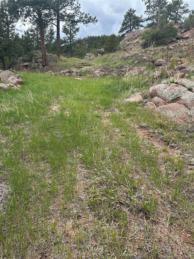 5915 County Rd 11, Florissant, CO 80816