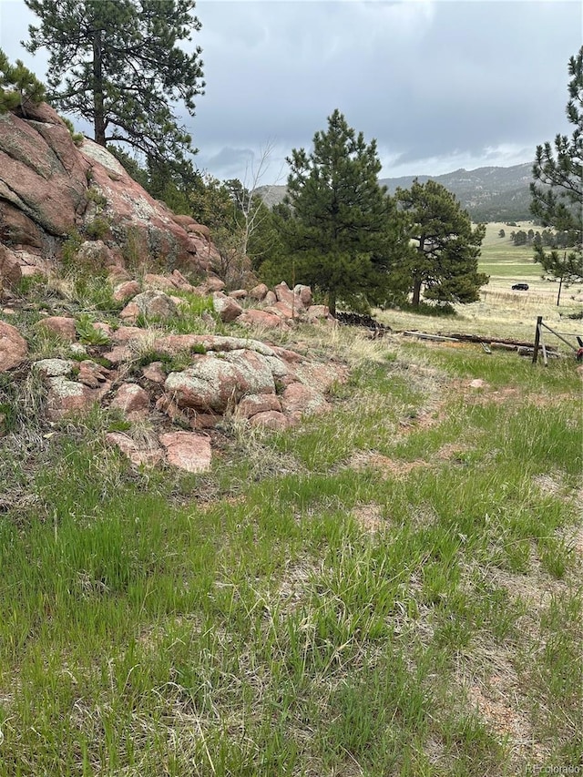 5915 County Rd 11, Florissant, CO 80816
