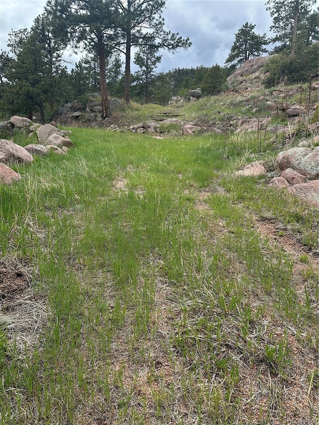 5915 County Rd 11, Florissant, CO 80816