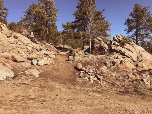 5915 County Rd 11, Florissant, CO 80816