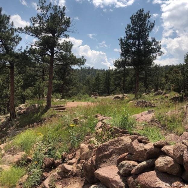 5915 County Rd 11, Florissant, CO 80816