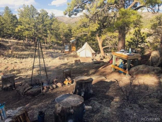 5915 County Rd 11, Florissant, CO 80816