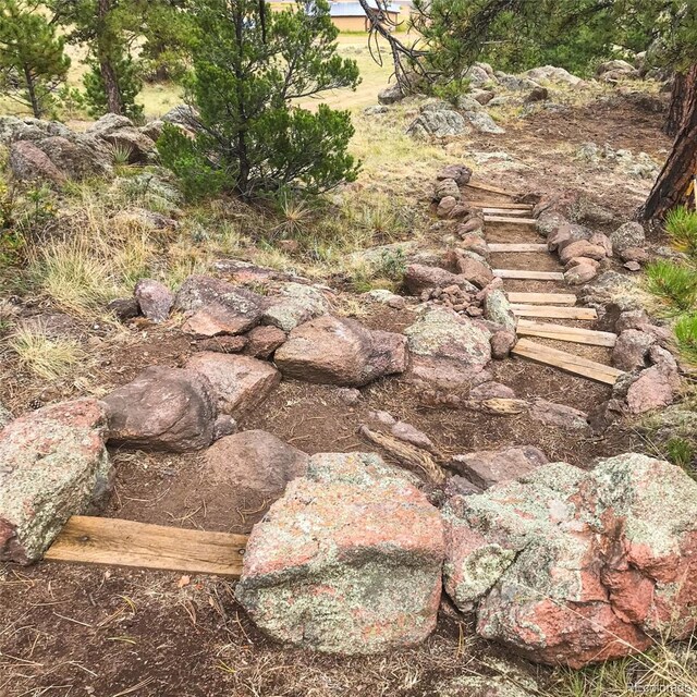 5915 County Rd 11, Florissant, CO 80816 - photo 14