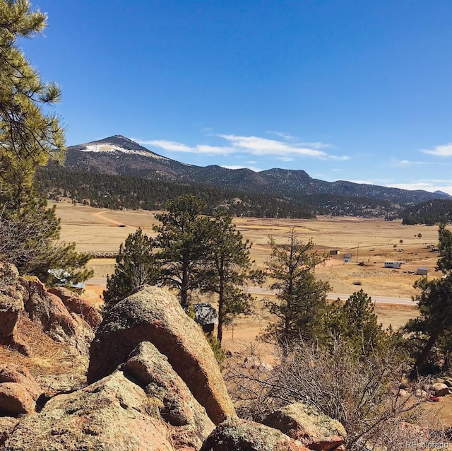 5915 County Rd 11, Florissant, CO 80816 - photo 1