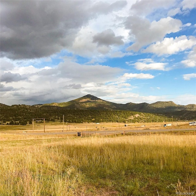 5915 County Rd 11, Florissant, CO 80816 - photo 2