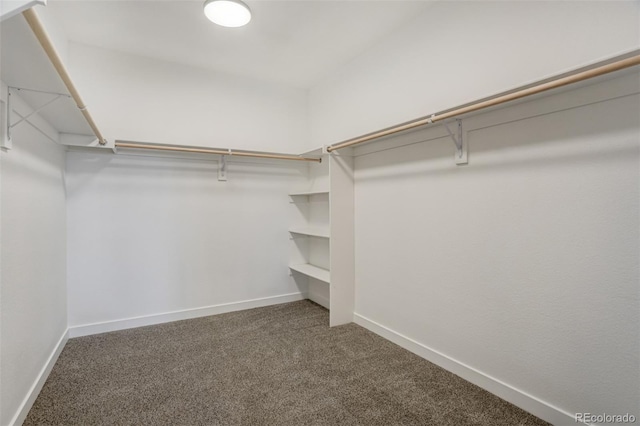 walk in closet featuring dark carpet