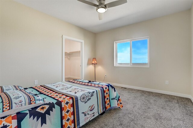 bedroom with ceiling fan, carpet floors, a closet, and a spacious closet