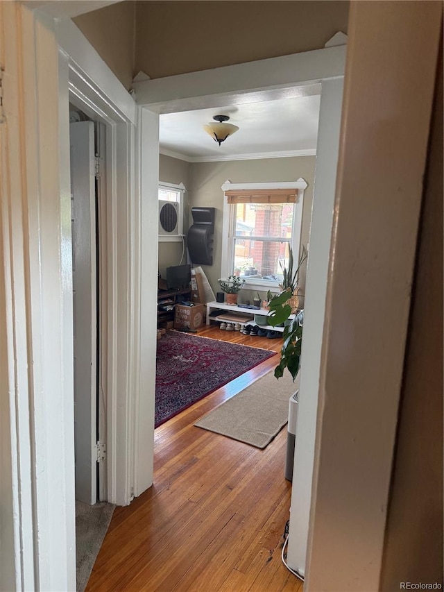 1414 S Pearl St, Denver, CO 80210 - corridor featuring ornamental molding and light wood-style flooring