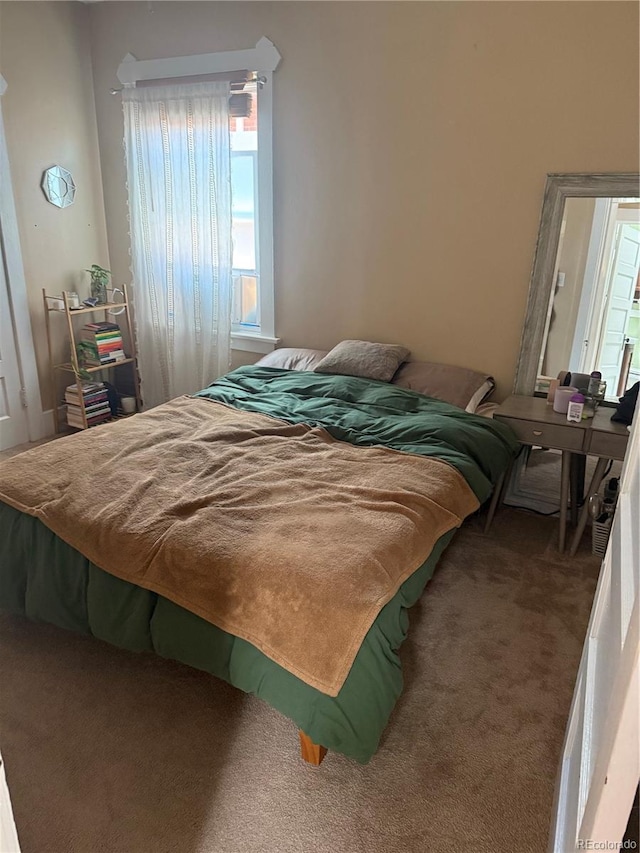 1414 S Pearl St, Denver, CO 80210 - view of carpeted bedroom