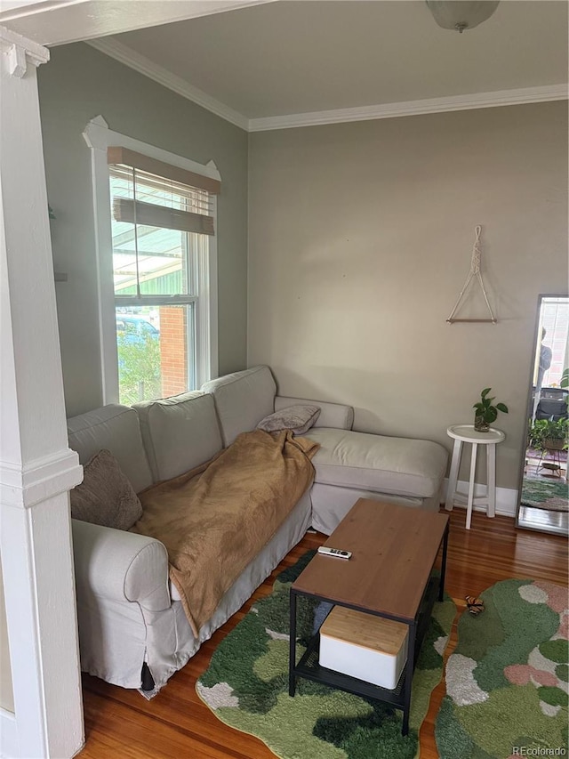 1414 S Pearl St, Denver, CO 80210 - living room featuring wood finished floors and crown molding