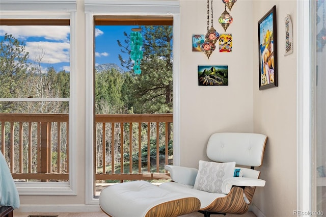 11398 Ranch Elsie Rd, Golden, CO 80403 - sitting room with a wealth of natural light