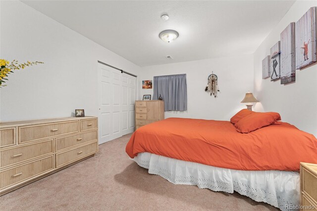 11398 Ranch Elsie Rd, Golden, CO 80403 - bedroom featuring a barn door, carpet flooring, visible vents, and a closet