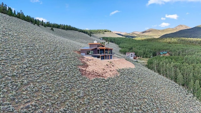 43 Granite Cir, Leadville, CO 80461 - photo 6