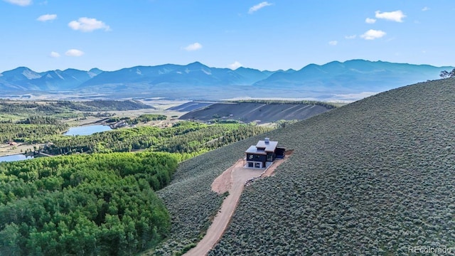 43 Granite Cir, Leadville, CO 80461 - photo 40