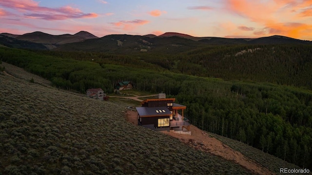 43 Granite Cir, Leadville, CO 80461 - photo 49