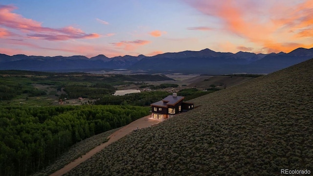 43 Granite Cir, Leadville, CO 80461 - photo 50