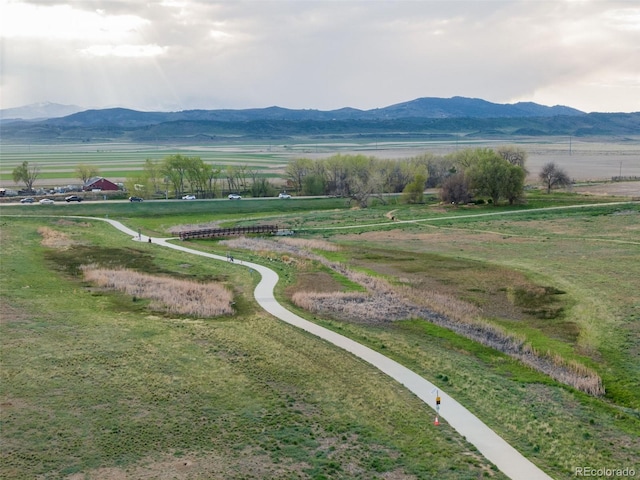 1882 La Salle Dr, Loveland, CO 80538 - photo 35