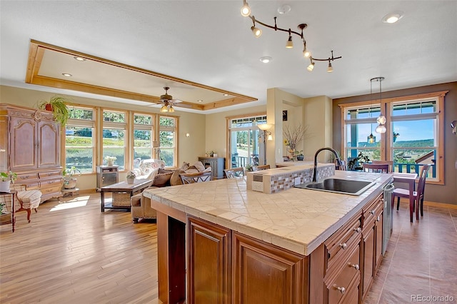 kitchen featuring hanging light fixtures, sink, a kitchen island with sink, light hardwood / wood-style flooring, and a tray ceiling