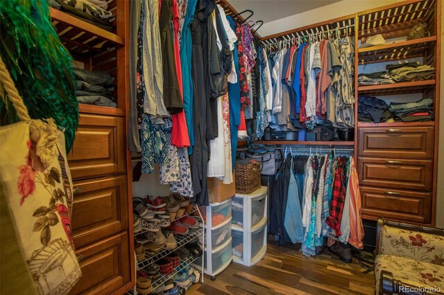 walk in closet featuring dark hardwood / wood-style floors