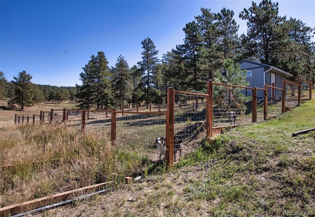 view of yard featuring a rural view