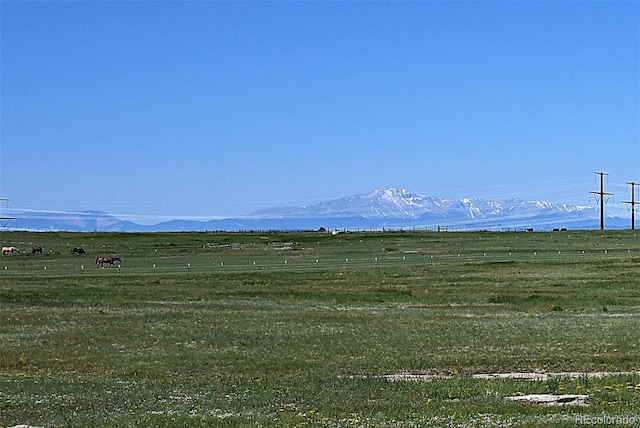 25995 Cave Spring Trl, Elbert, CO 80106 - photo 30