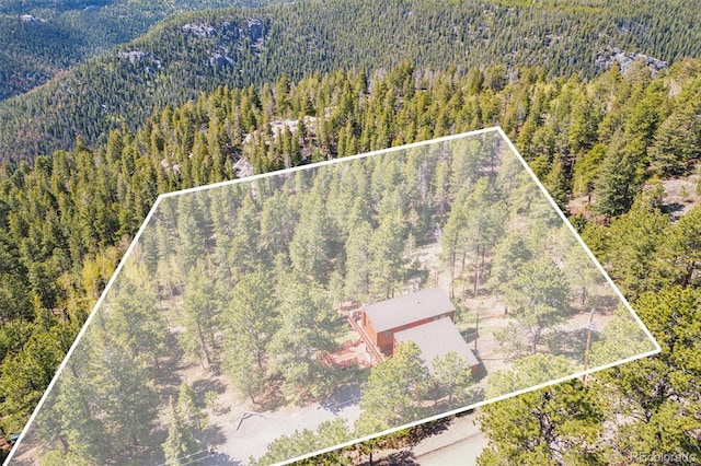 1278 Aspen Dr, Evergreen, CO 80439 - view from above of property with a forest, property boundaries highlighted, and a mountain backdrop