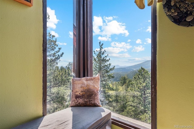 1278 Aspen Dr, Evergreen, CO 80439 - detailed view of a textured wall and mountains
